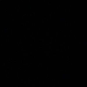 Meet your Posher, Tione